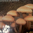 Отдается в дар Книга о грибах на немецком яз.