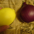 Отдается в дар Контейнеры пластмассовые «лук» и «лимон»