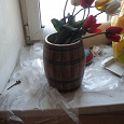 Отдается в дар Тюльпаны в антикварном бочонке