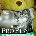 Отдается в дар PRO PLAN (Про План) «Dental Plus» сухой, для кошек. Курица.