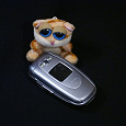 Отдается в дар Samsung SGH-E620