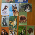 Отдается в дар Карманные календарики. Собаки, с 1991 по 1997 гг.
