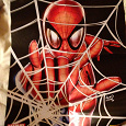 Отдается в дар Плакат Человек-паук