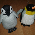 Отдается в дар Два пингвина