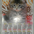 Отдается в дар Календарь с котёнком на 2018 год