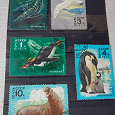 Отдается в дар Пять серий марок по теме «Фауна»