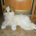 Отдается в дар Интерактивная кошка FurReal Friends