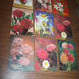 Отдается в дар Советские поздравительные фото- открытки