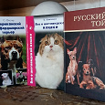 Отдается в дар Книги про кошек и собак