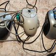 Отдается в дар Компьютерные мыши (PS/2, USB)