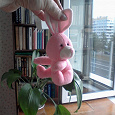Отдается в дар Розовый кролик?
