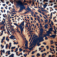 Отдается в дар Комплект (блуза+юбка) леопардовой расцветки