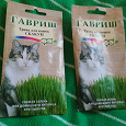 Отдается в дар Семена травы для кошек " Скакун"