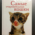 Отдается в дар Книжка с котиками