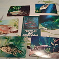 Отдается в дар Набор открыток «Пёстрый мир аквариума»