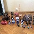 Отдается в дар Коллекция статуэток кошек (около 80 шт.)