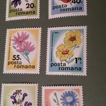 Отдается в дар Румыния.1975.Цветы