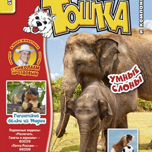 Отдается в дар Детский журнал о животных «Тошка и компания»