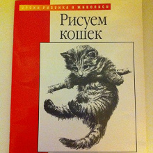 Отдается в дар пособие для кошкорисования