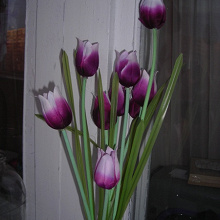Отдается в дар Искуственные тюльпаны для декора