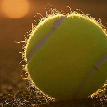 Отдается в дар Теннисный мяч…
