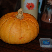 Отдается в дар Тыква урожай 2008г.