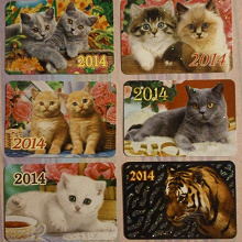 Отдается в дар Календарики с кошками
