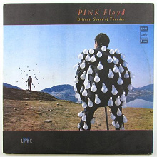 Отдается в дар Двойной виниловый альбом Pink Floyd