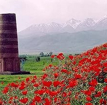 Отдается в дар Боны Киргизии