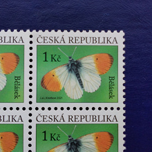 Отдается в дар Бабочка. Почтовая марка Чехии. MNH. 2021.