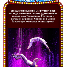 Отдается в дар Билеты на представления Аквамарин (мюзикл мирового уровня «Остров сокровищ» и цирк/шоу «Танцующих фонтанов»