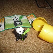 Отдается в дар Киндер панда