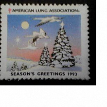 Отдается в дар Рождество. США 1993.