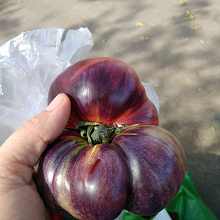 Отдается в дар семена помидора фиолетового
