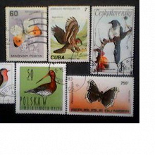 Отдается в дар Бабочки и птицы на почтовых марках мира.