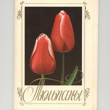 Отдается в дар набор открыток «Тюльпаны», 1986