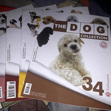 Отдается в дар Журналы и книга о собаках.