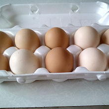 Отдается в дар 3 дес деревенских яиц
