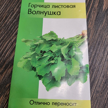 Отдается в дар семена горчицы