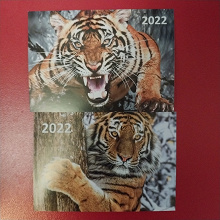 Отдается в дар Календарики тигры