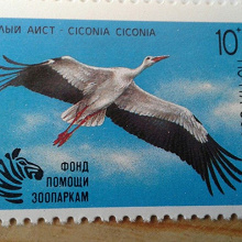 Отдается в дар Почтовая марка 1991 г.