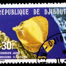Отдается в дар Рыбы, серия из трех марок, Джибути, 1978