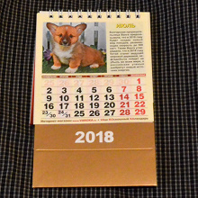 Отдается в дар Календарь с собачками