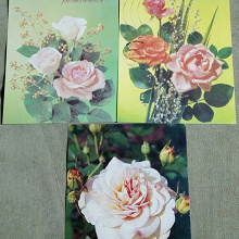 Отдается в дар Розы на открытках