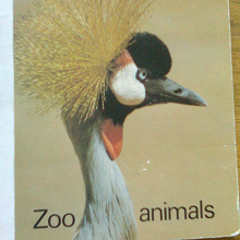 Отдается в дар Немецкие книжки про животных