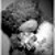 teddy_bear
