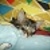 Yevhen1982