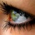 Irini23