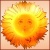 sonnenlicht