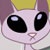 mr.Cat